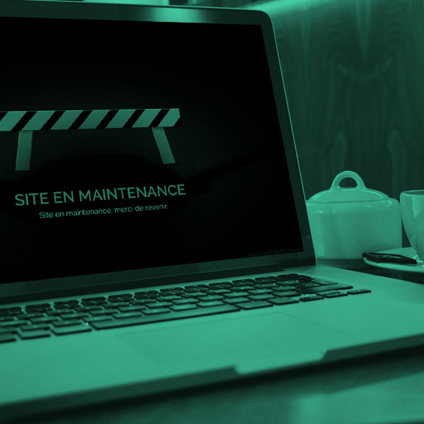 Notre agence web fournit de la Maintenance web sur mesure pour vos sites internet